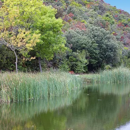 La Romance. Prugnanes