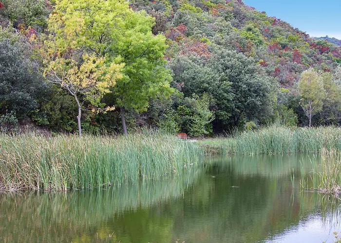 La Romance. Prugnanes